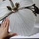 Vintage 1980s-90s Hollywood Regency Art Deco Bronze Mariner Seashell Chandelier