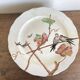 set de 12 assiettes polychrome 1850 ondulées Brownfield England oiseaux