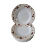 Lot of 9 hollow plates Salins model Simone