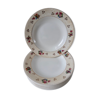 Lot of 9 hollow plates Salins model Simone