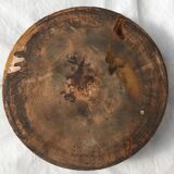 Dish