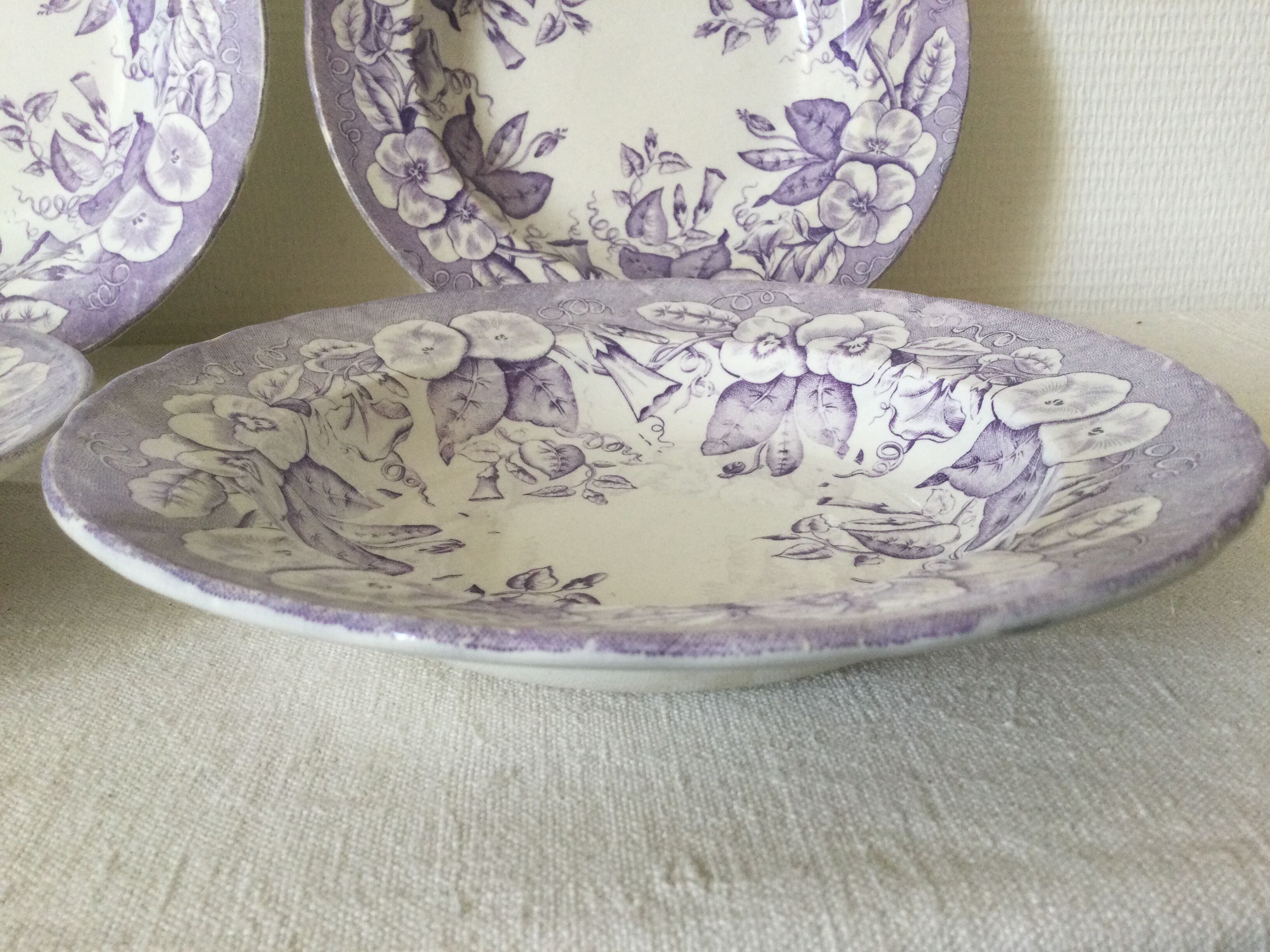 Volubilis Jules Vieillard Bordeaux model plates