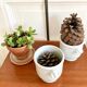 Paire de cache pots porcelaine de Limoges