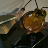 Water lily lamp in brass and glass paste, art nouveau style.