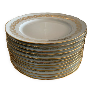 Lot 12 assiettes plates haute porcelaine