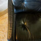 Scandinavian leather armchair