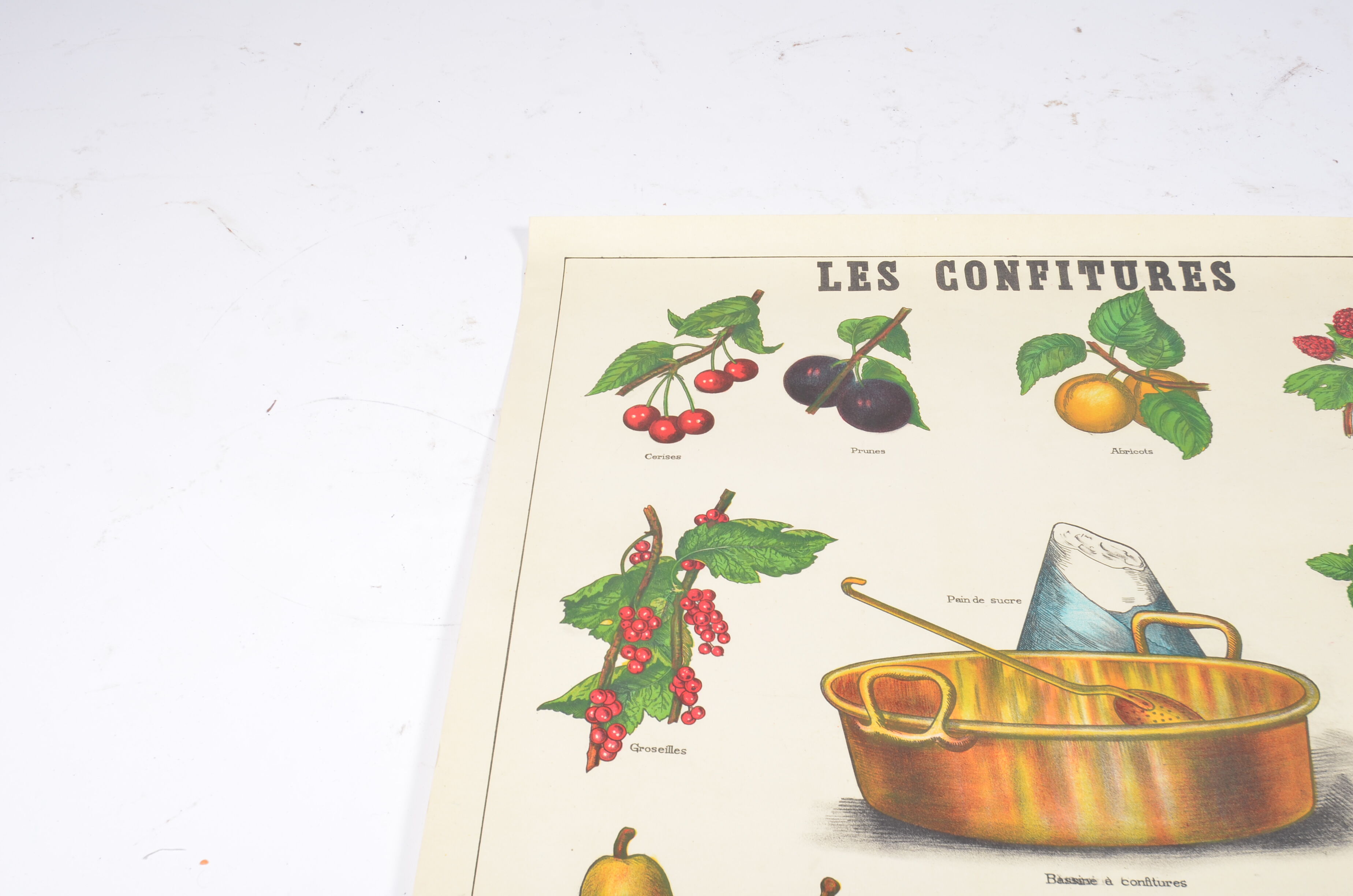 Poster Deyrolle "the compotes"