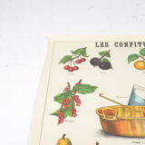 Poster Deyrolle "the compotes"