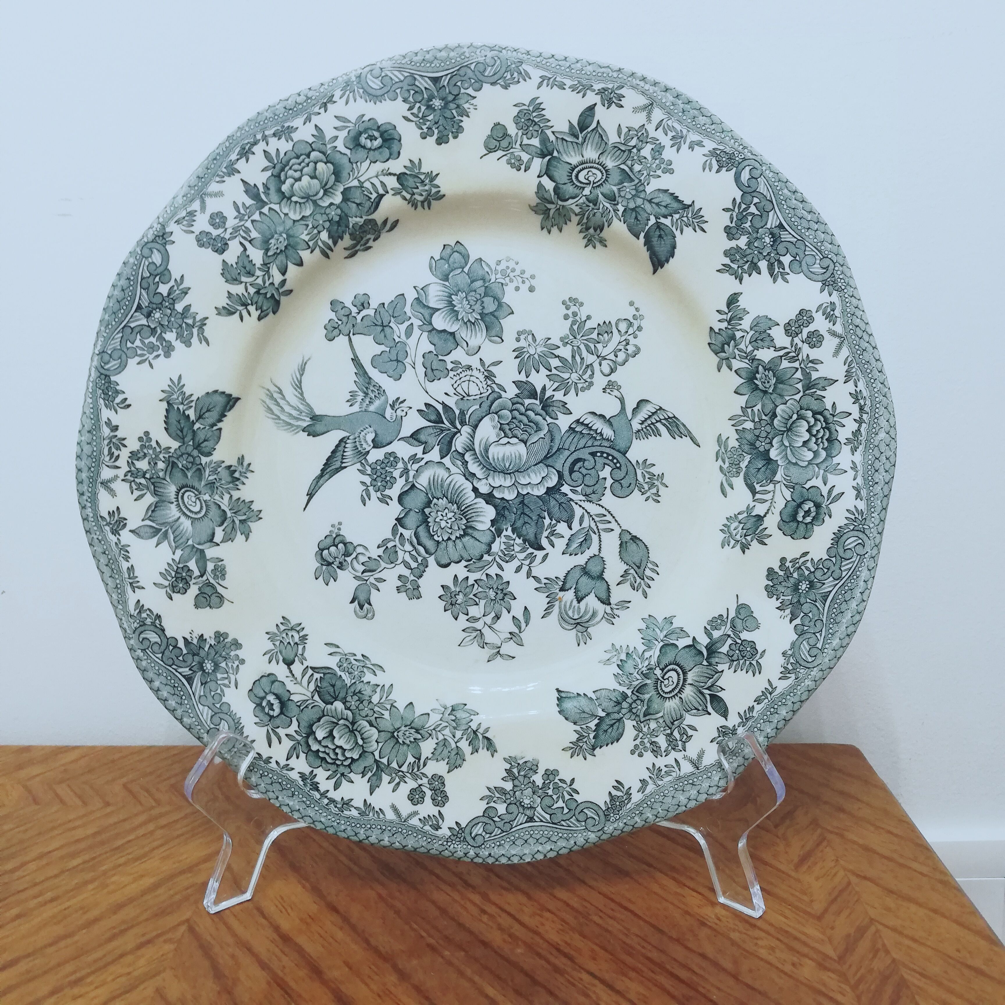 6 earthenware plates Enoch Wedgewood décor "asiatic pheasants"