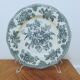 6 earthenware plates Enoch Wedgewood décor "asiatic pheasants"