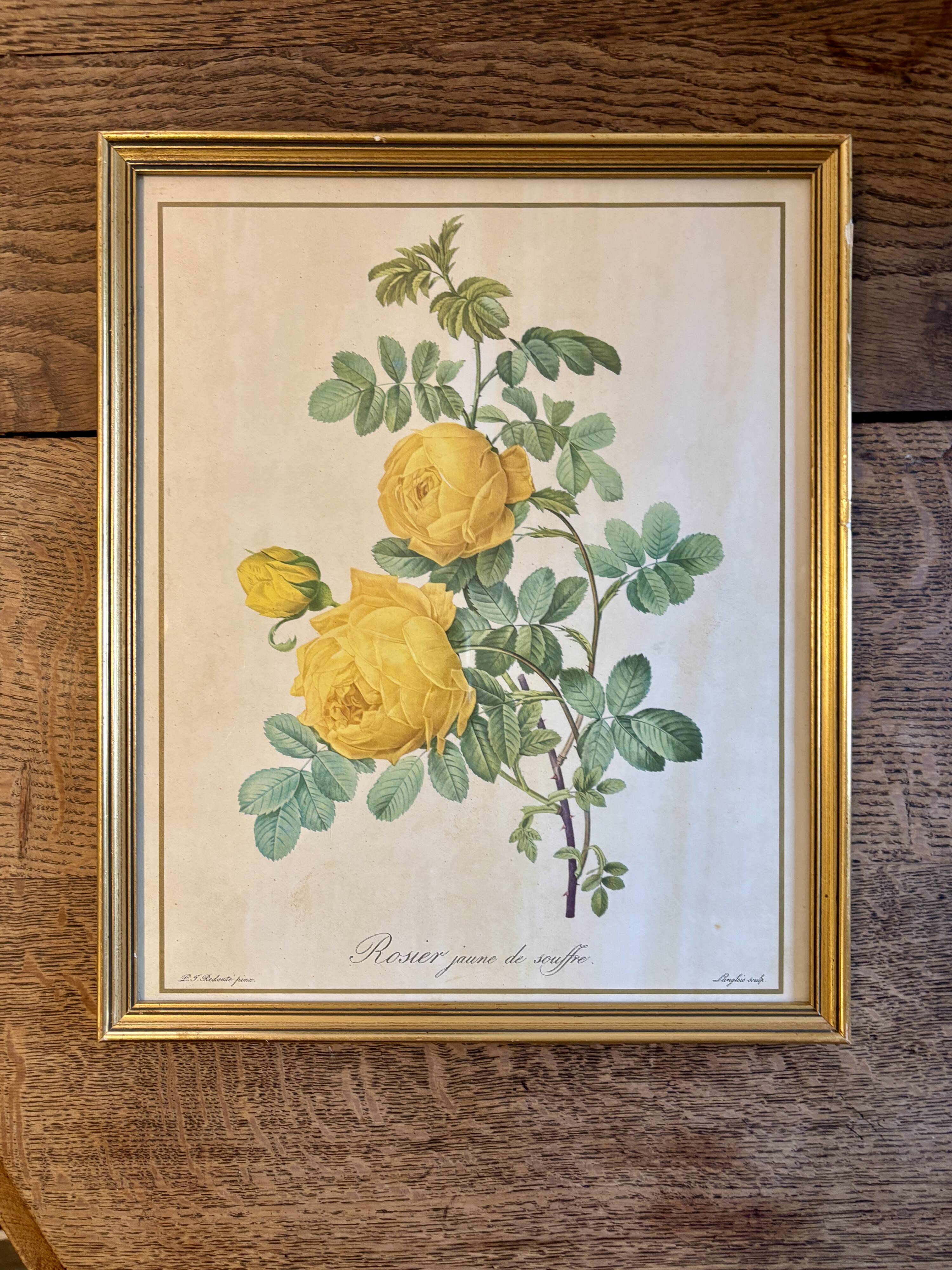 Old frame pink yellow Dreaded