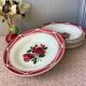 Plates Digoin Cibon Ironstone floral decoration