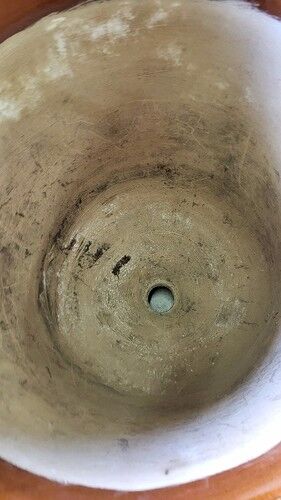 Large glazed terracotta flower pot Boisset Anduze 2002