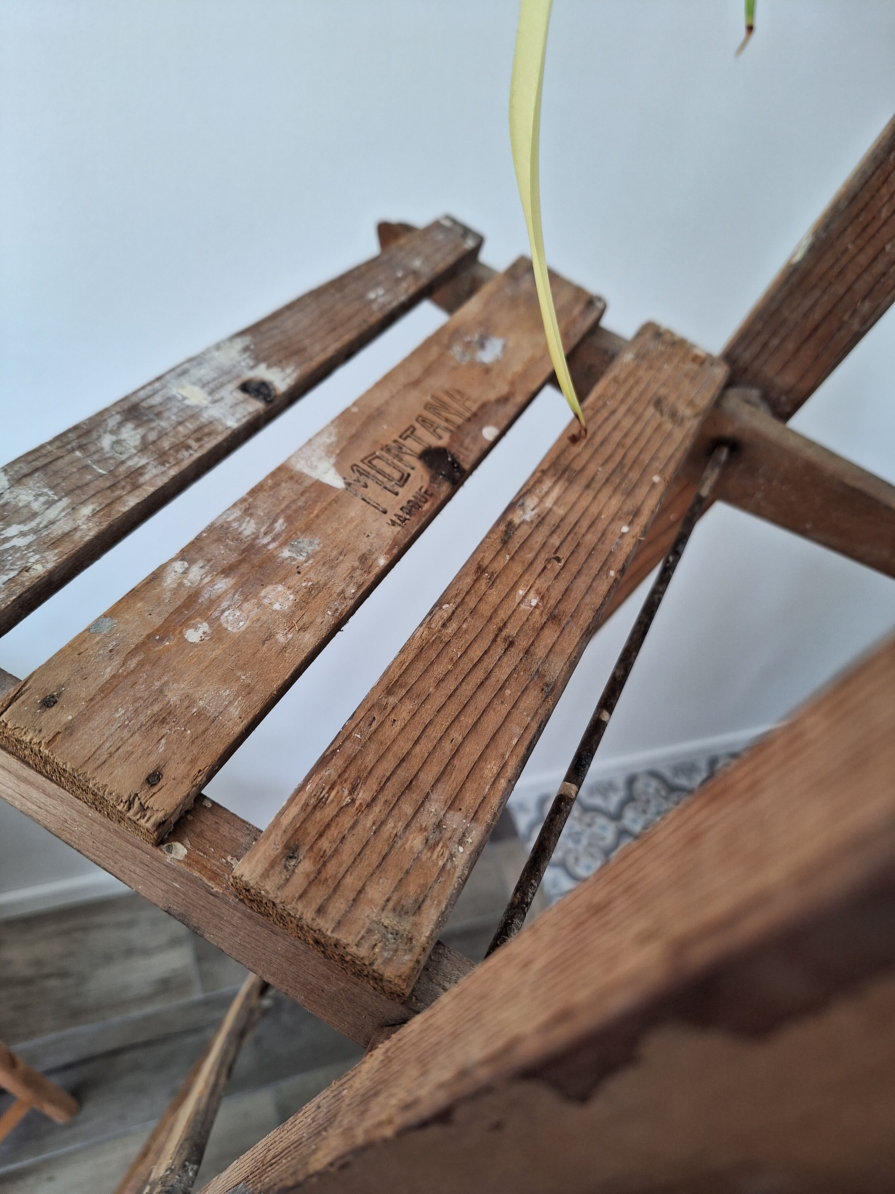 Montana painter's stepladder