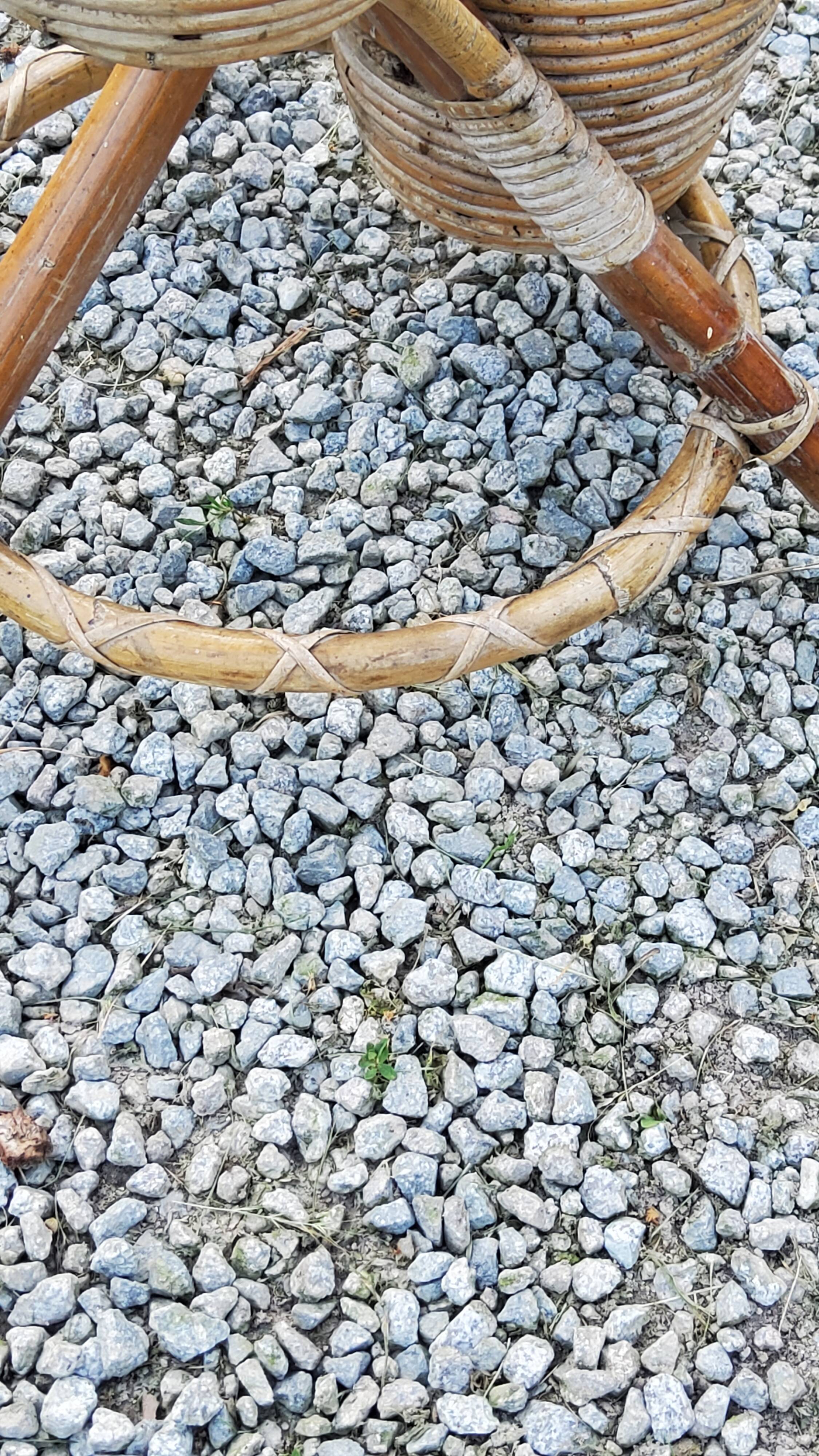 Rattan and bamboo plant holder from the 50s