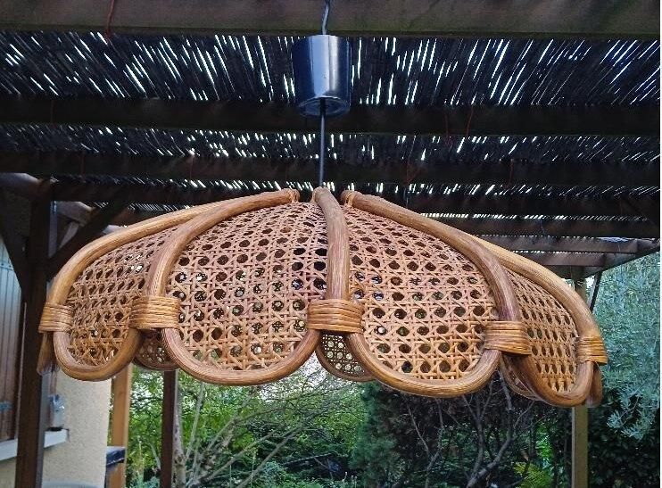 Canning suspension 1970