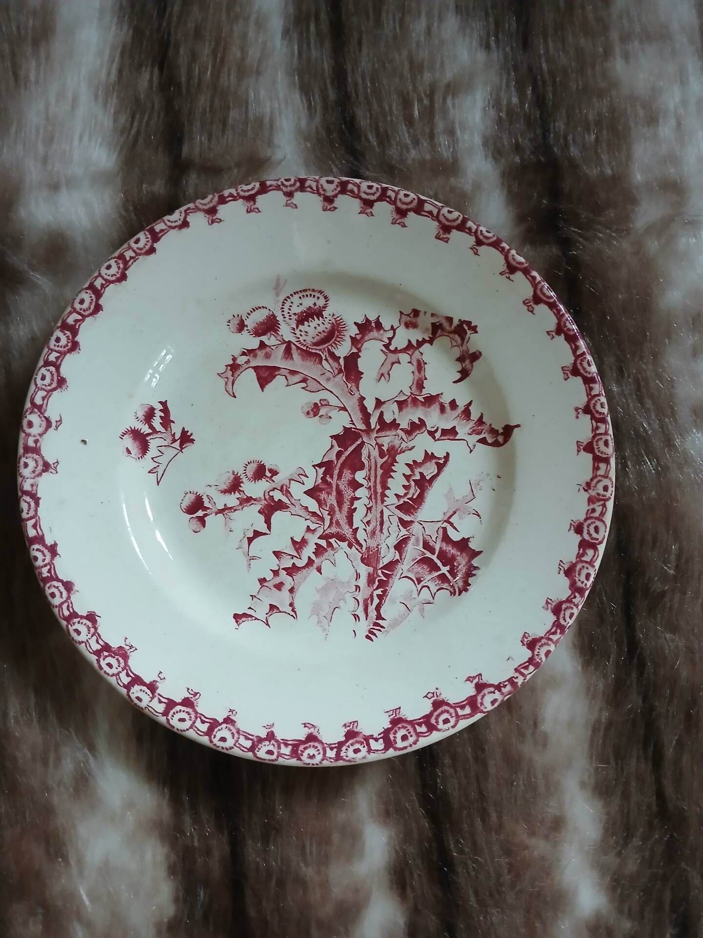 10 antique flat plates in ironstone