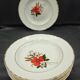 Set of 8 plates + 1 vintage oval dish Moulin des Loups Champêtre red