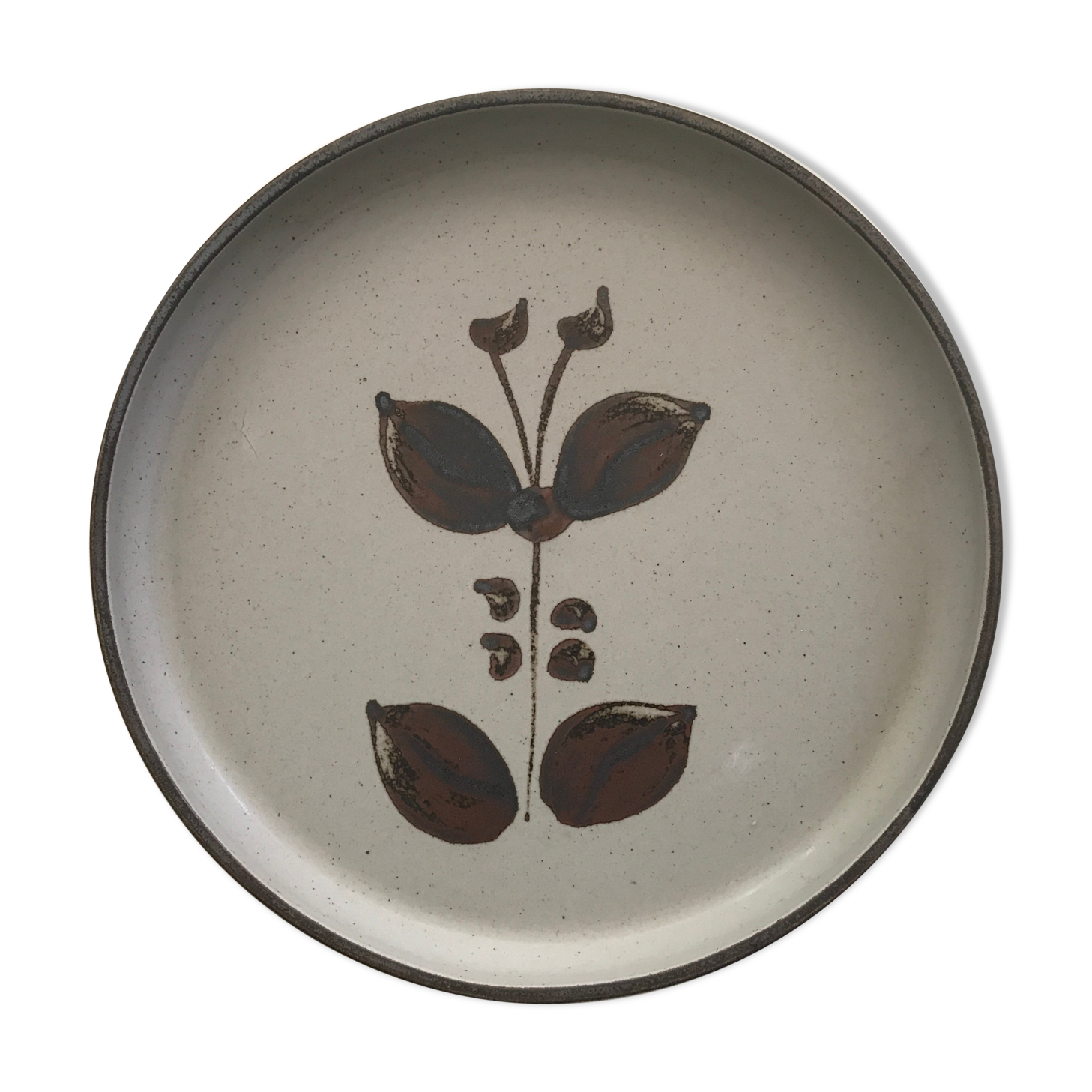 10 flat plates L'arnon sandstone