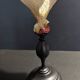 Cabinet of Curiosities sponge cut carteriospongia foliascens on base