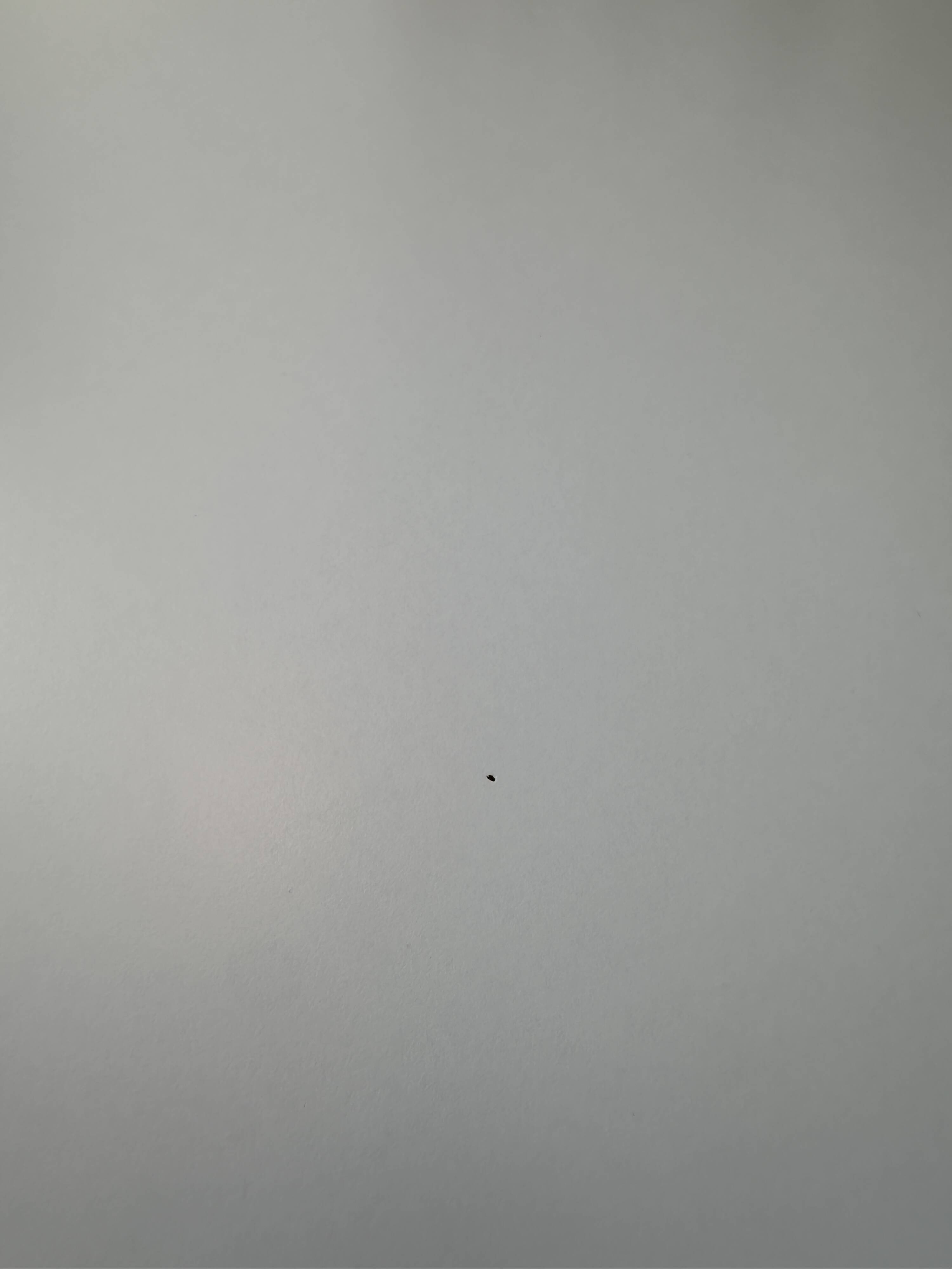 Bureau USM Haller en stratifié gris perle