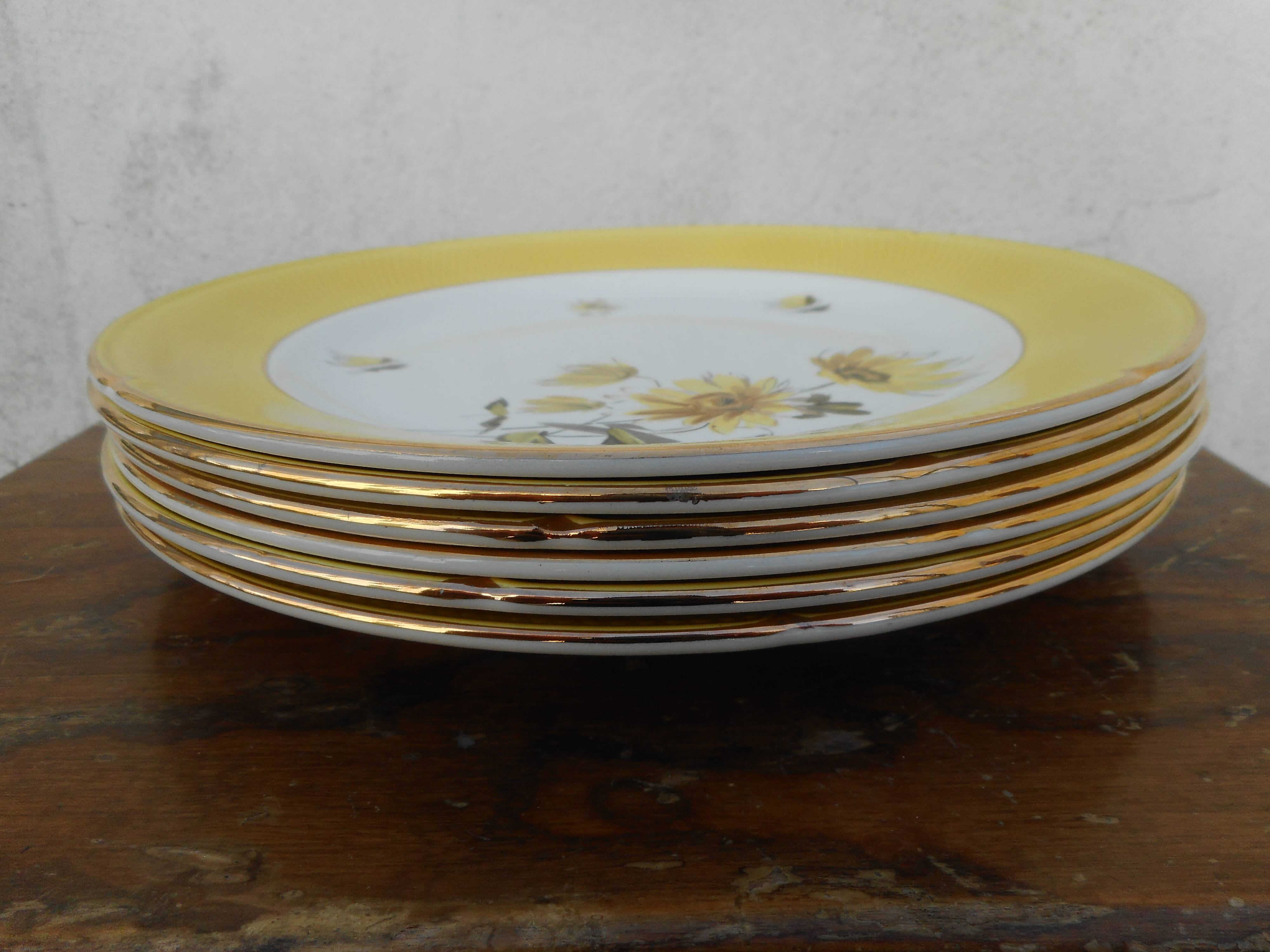 Six flat plates made of "Salins" earthenware