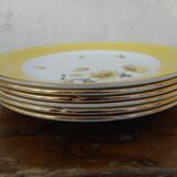 Six flat plates made of "Salins" earthenware