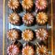 12 old vintage copper fluted molds