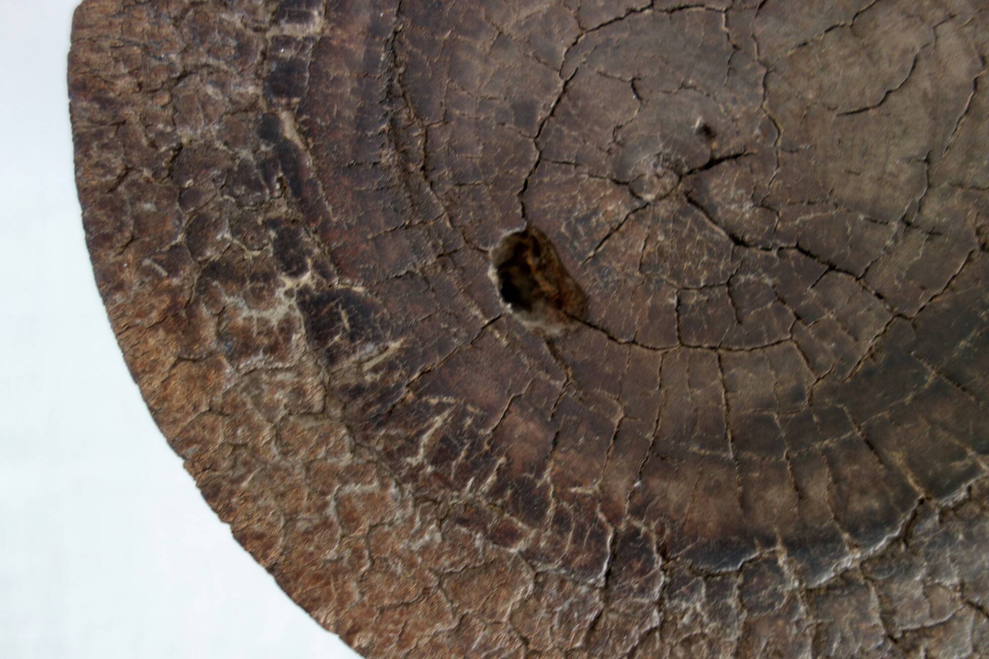 Tabouret Africain ancien en bois baoulé, Côte d'Ivoire