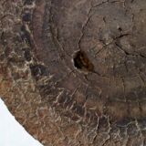 Antique African stool made of Baoulé wood, Ivory Coast
