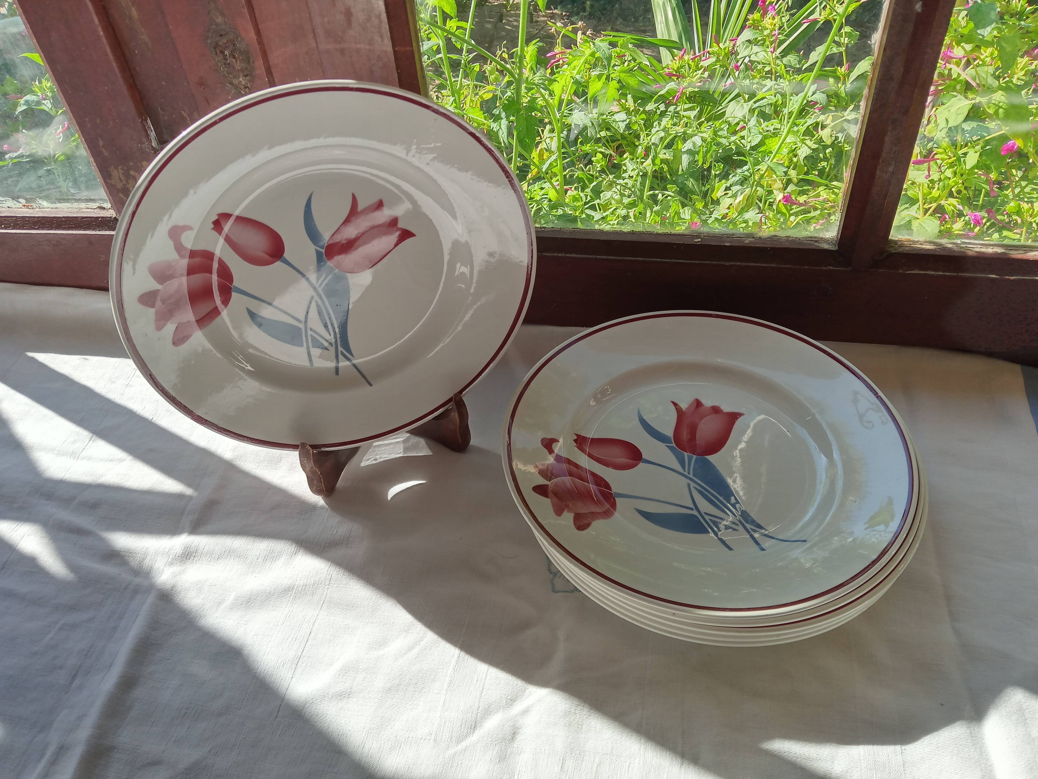 6 Terre de Fer flat plates