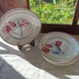 6 Terre de Fer flat plates