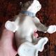 Gräfenthal - porcelain dog - H 12 cm