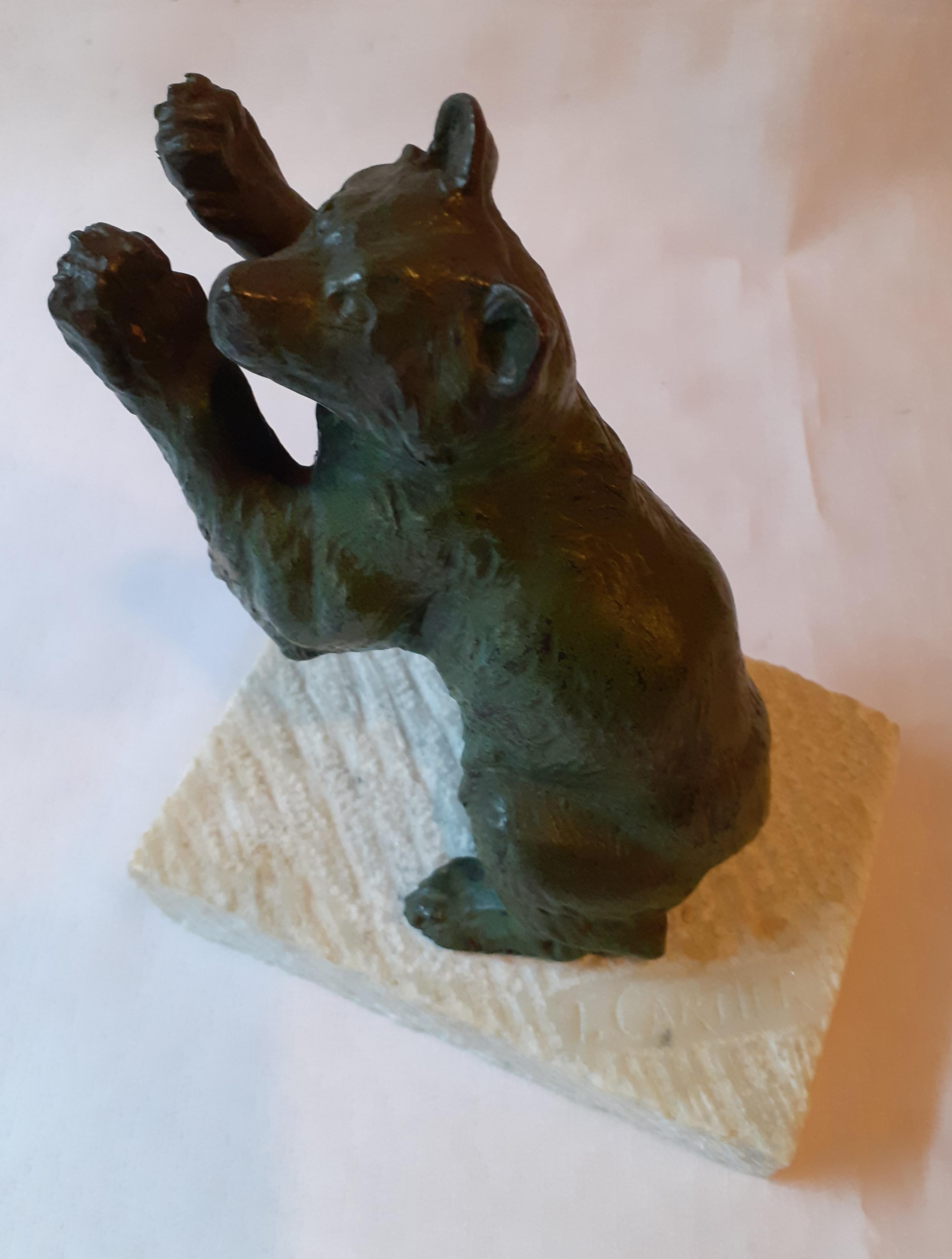 Greenhouse books bear signed