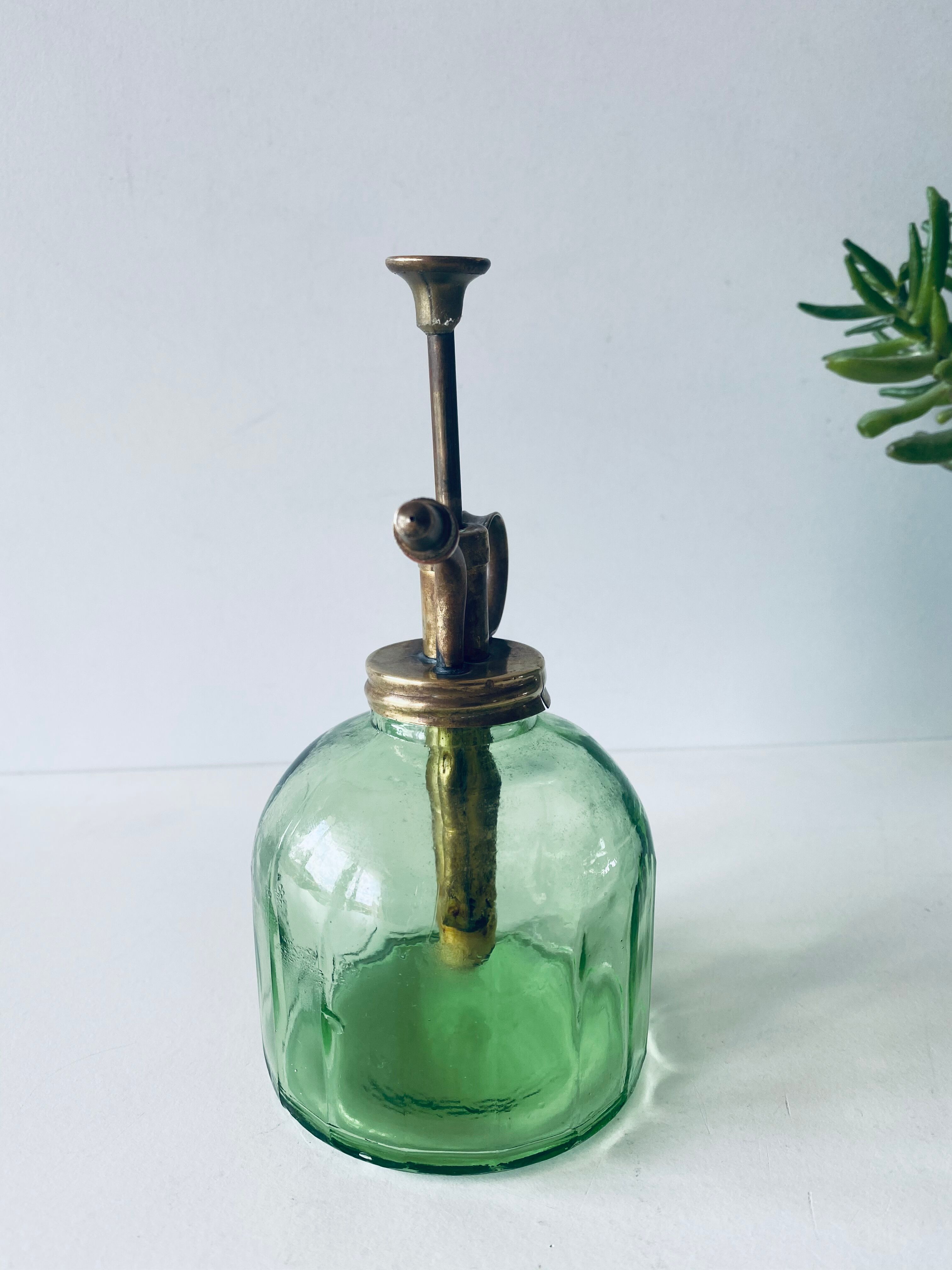 Vintage mist for indoor plants