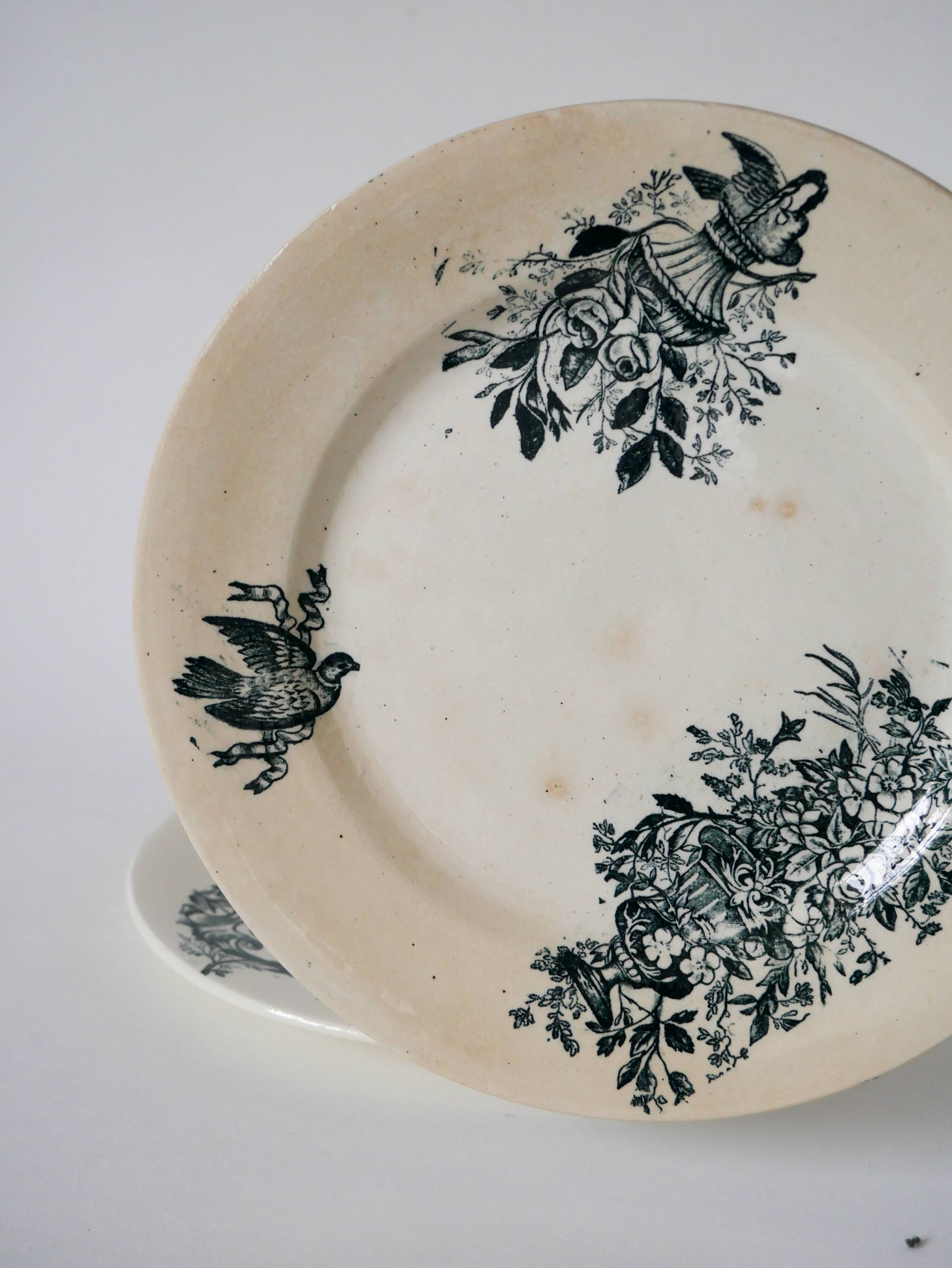 Set of 5 flat plates in terre de fer salins 19th century