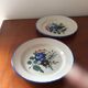 Set of 2 old painted terracotta plates enamelled