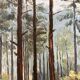Oil on vintage wooded landscape panel
