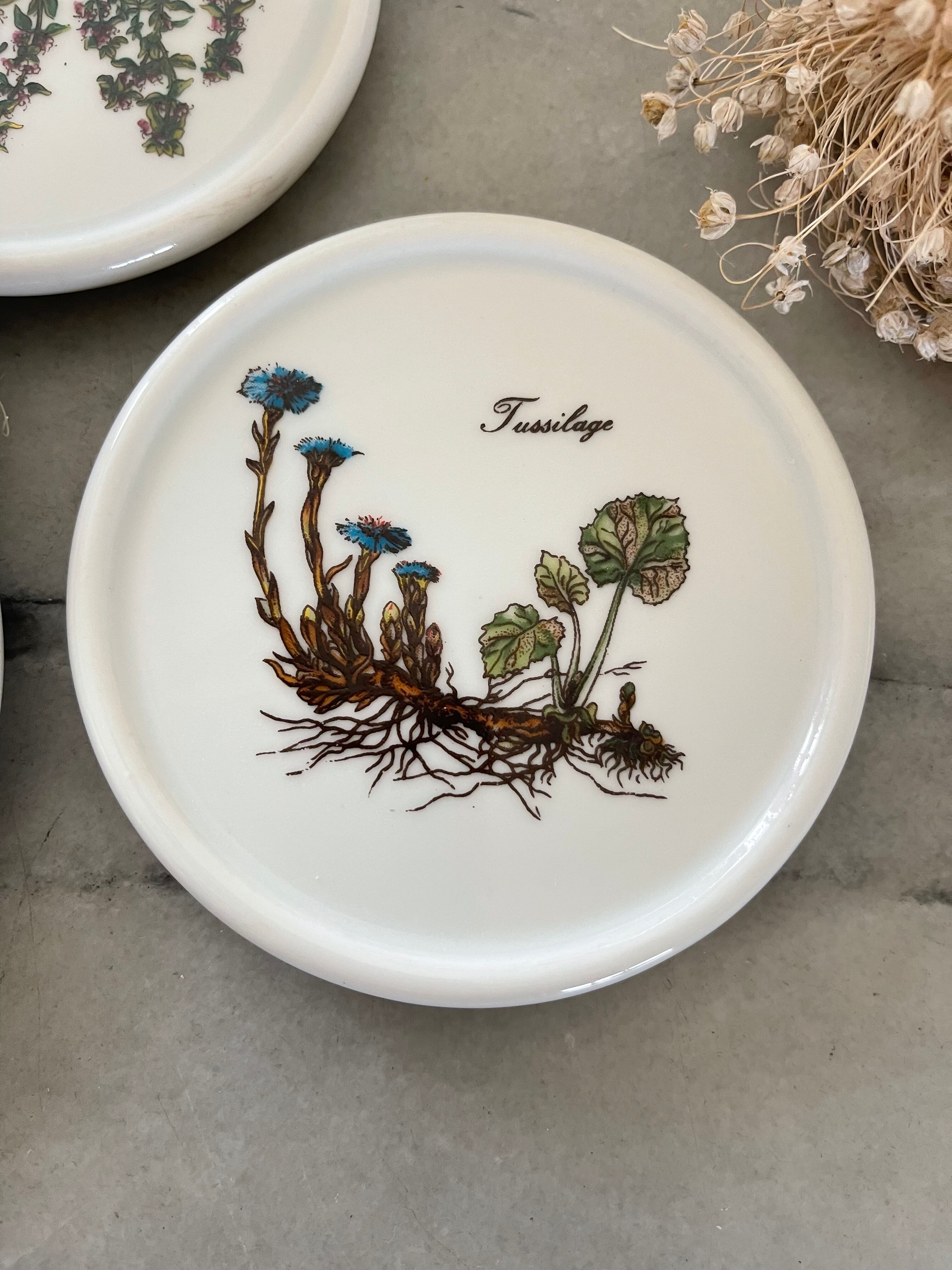 6 under glass porcelain 1970