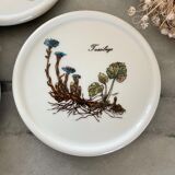 6 under glass porcelain 1970