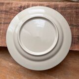 Speckled stoneware plate