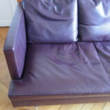 Leather sofa Stricto Sensu design Didier Gomez Cinna