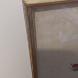 Frame Dreaded rose bush