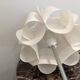 Lampe Tulip Knappa Tulpan Ikea
