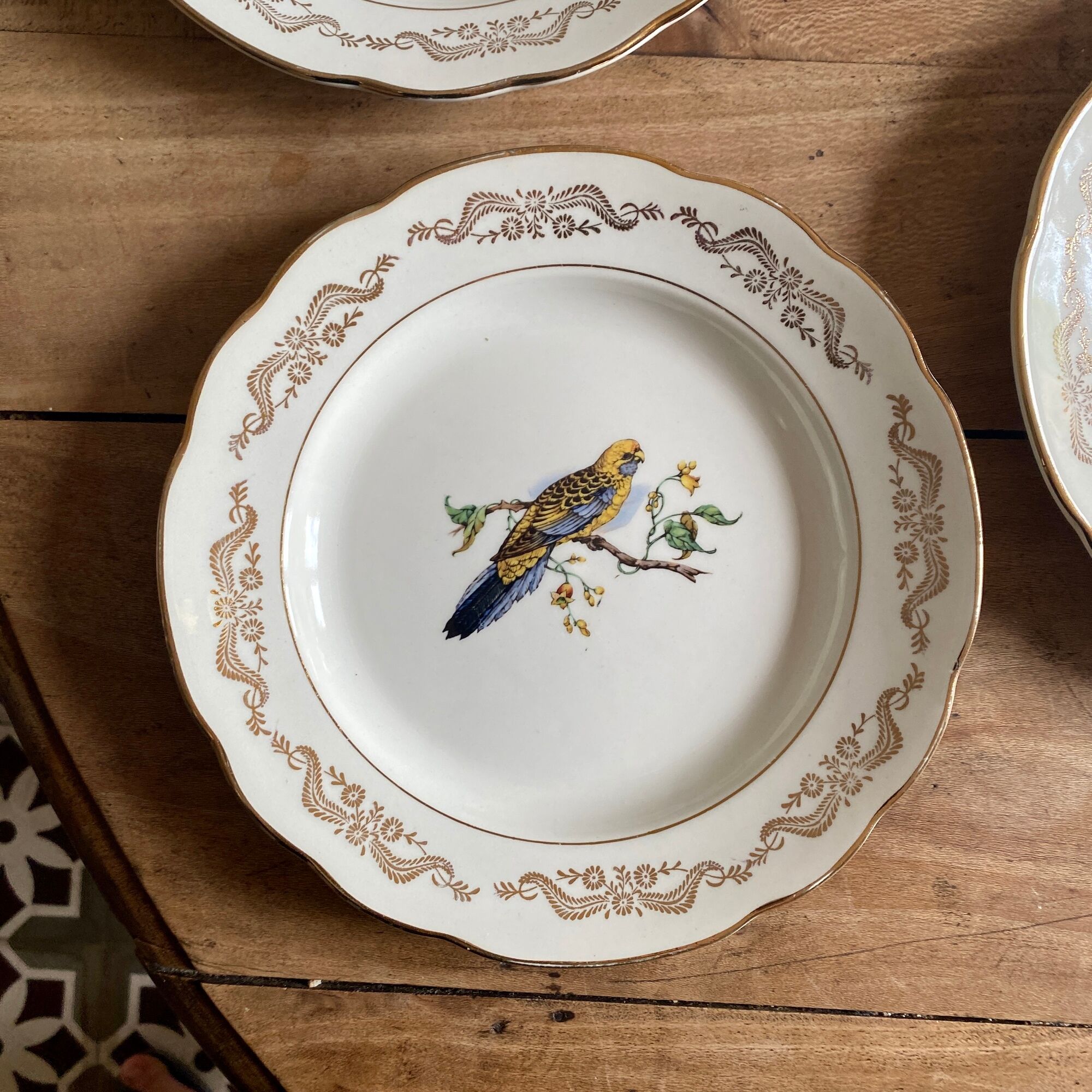 Set of 6 vintage flat plates, model Moineaux de Paris de Gien