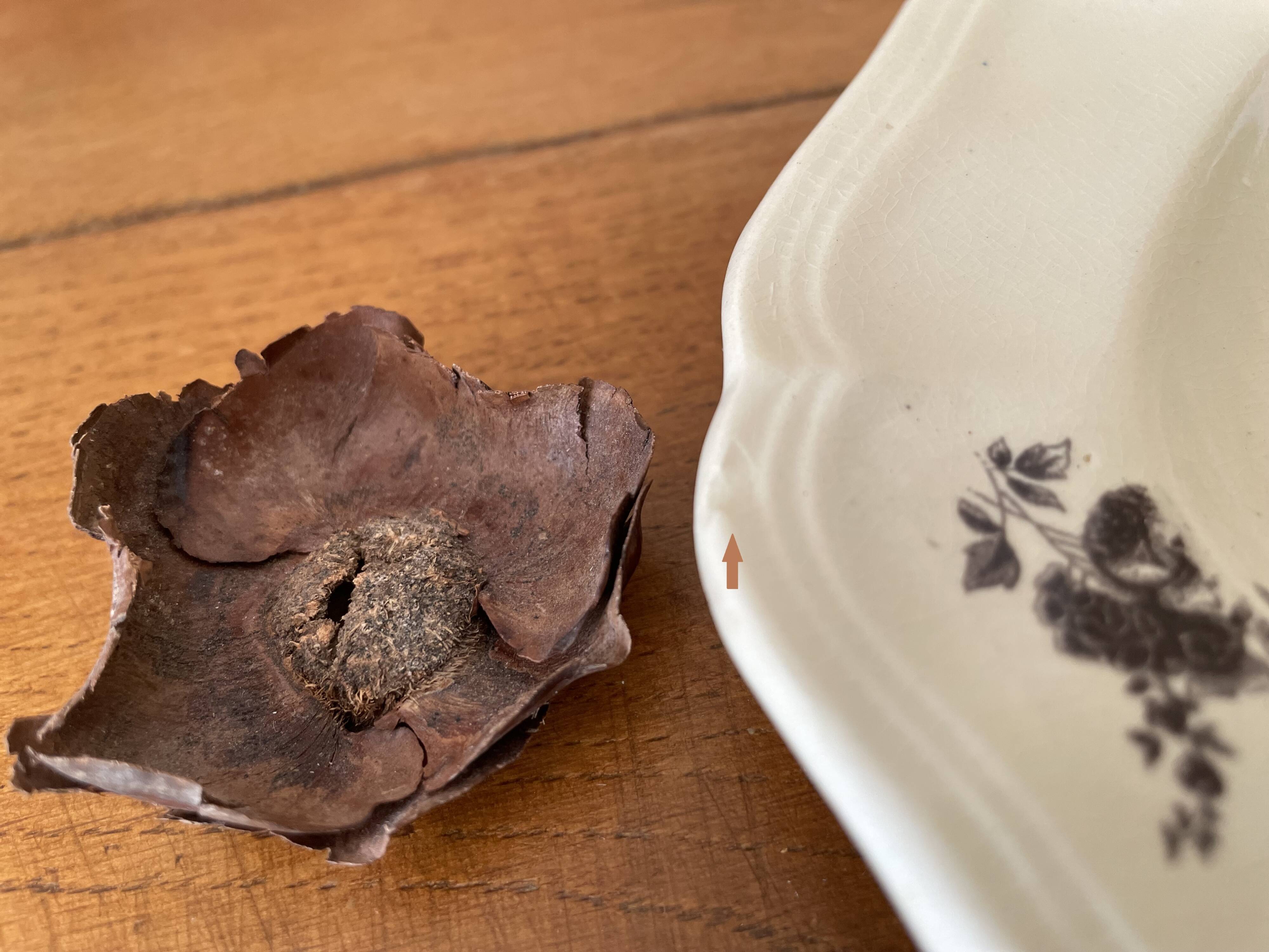 Antique sauce boat in Sarreguemines earthenware.