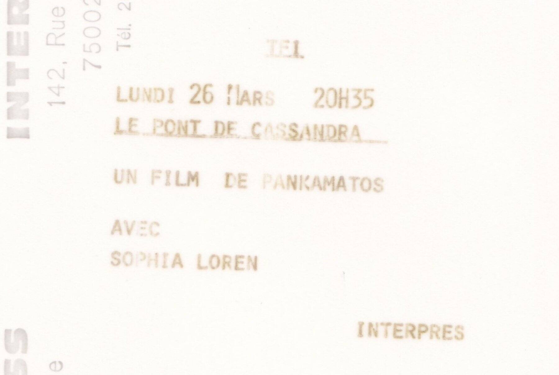 Very beautiful original film photograph Sophia Lauren