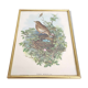 Vintage bird's nest lithograph by J. Gould and H-C Richter golden frame