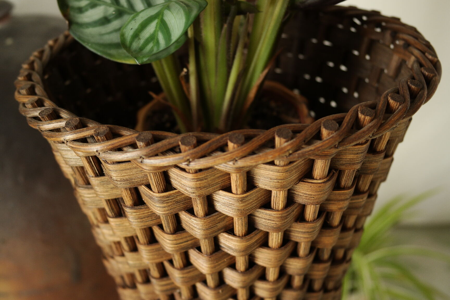 Sole-on-foot door in vintage braided reeded curved wood