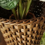 Sole-on-foot door in vintage braided reeded curved wood